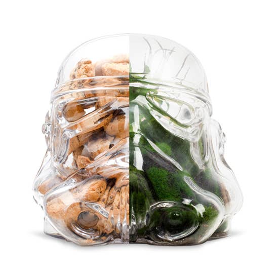 Original Stormtrooper Terrarium / Cookie Jar