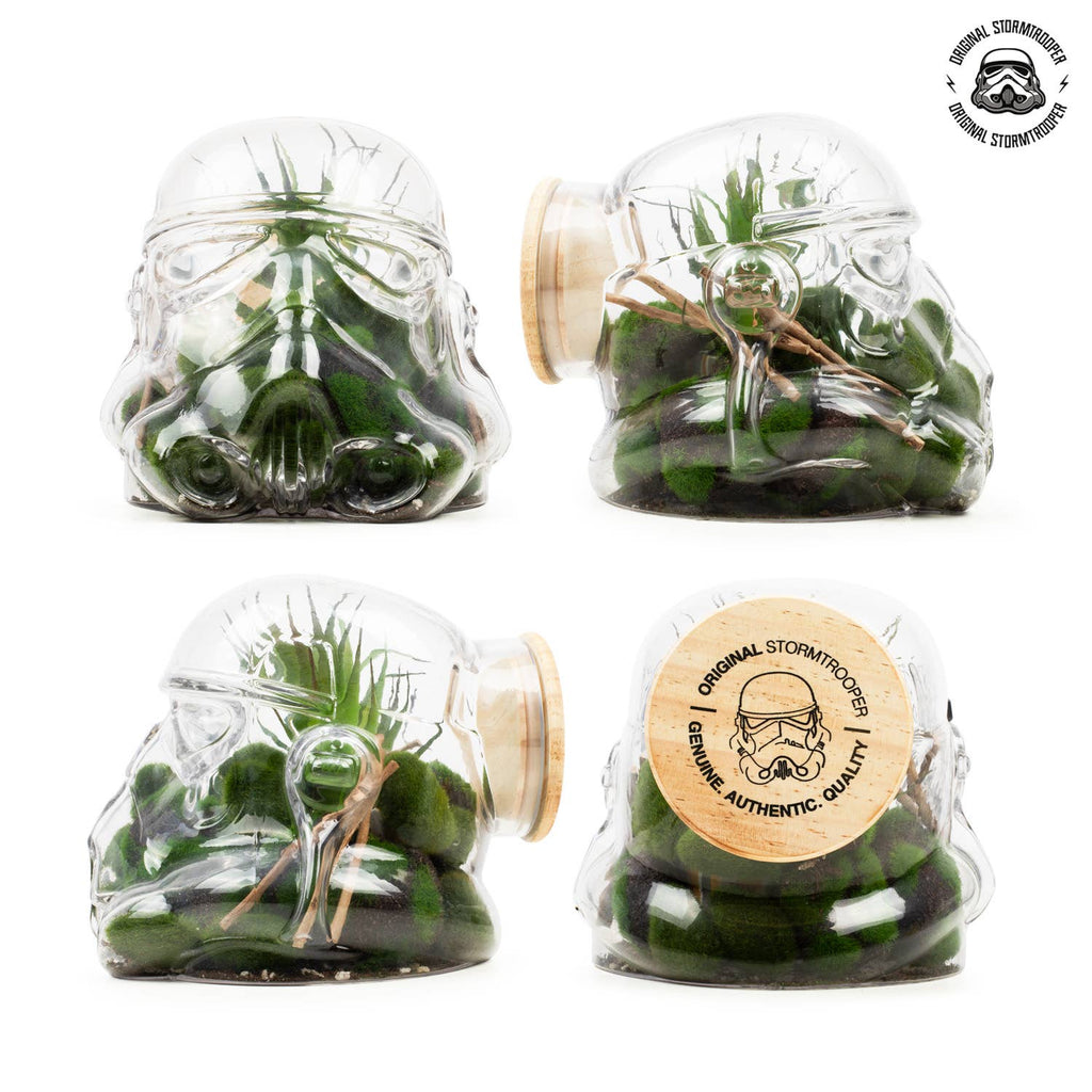 Original Stormtrooper Terrarium / Cookie Jar