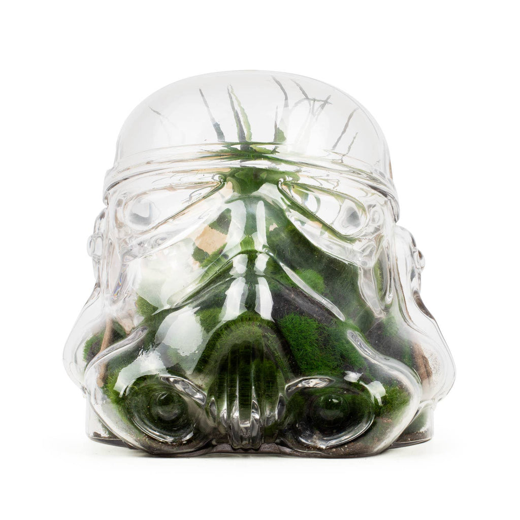 Original Stormtrooper Terrarium / Cookie Jar