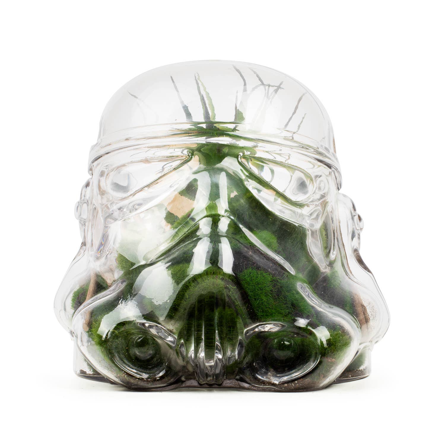 Original Stormtrooper Terrarium / Cookie Jar